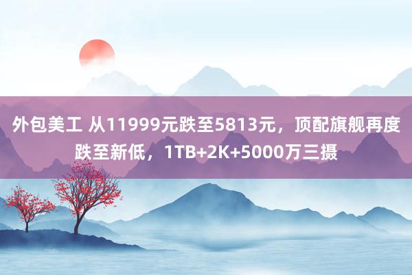 外包美工 从11999元跌至5813元，顶配旗舰再度跌至新低，1TB+2K+5000万三摄